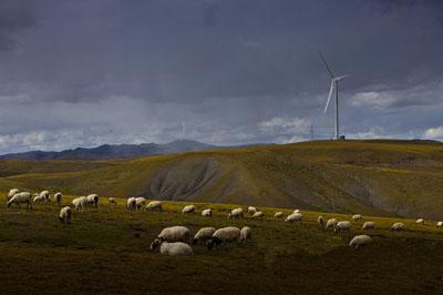 A Breakthrough- Nagqu Wind Power Station 