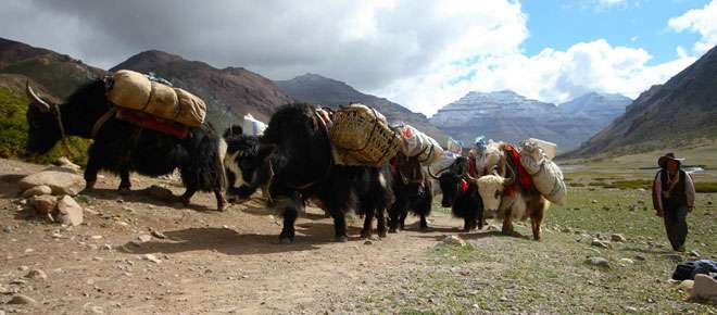 12 Days Mt. Gonka Trekking