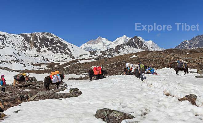 Tibet trekking campsite